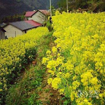 临安大峡谷静雅山庄酒店提供图片