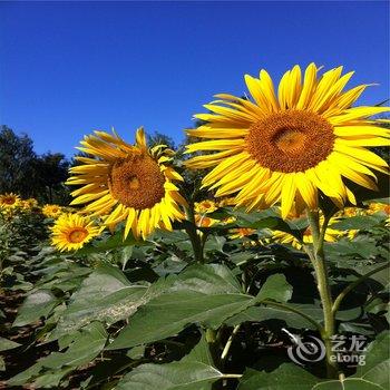 威武屯旅游文化度假村酒店提供图片