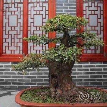 九华山凤形山庄酒店提供图片