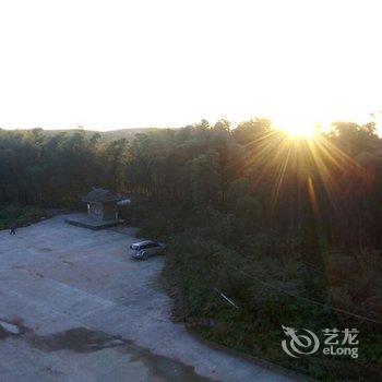 �˱���������ʢ�Ƶ�(����)�Ƶ��ṩͼƬ