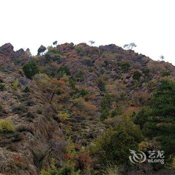 阿拉善盟贺兰山福因梵境酒店酒店提供图片