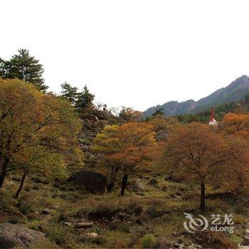 阿拉善盟贺兰山福因梵境酒店酒店提供图片