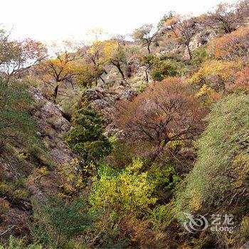 阿拉善盟贺兰山福因梵境酒店酒店提供图片