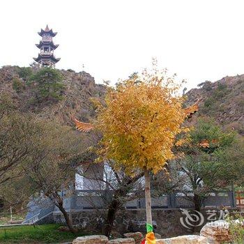 阿拉善盟贺兰山福因梵境酒店酒店提供图片