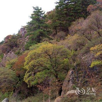 阿拉善盟贺兰山福因梵境酒店酒店提供图片