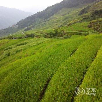 龙胜龙脊山景楼酒店提供图片