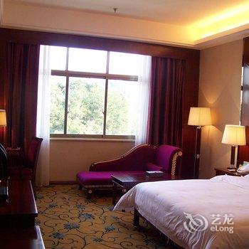 德保县红山国际大酒店酒店提供图片