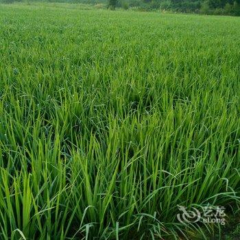 査济田原之家(宣城泾县)酒店提供图片