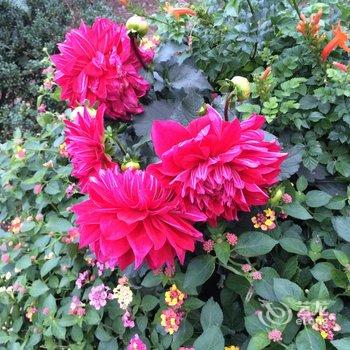 仙居县仙花农家土菜馆酒店提供图片