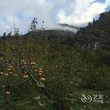 茂县羌乡情生态农庄酒店提供图片