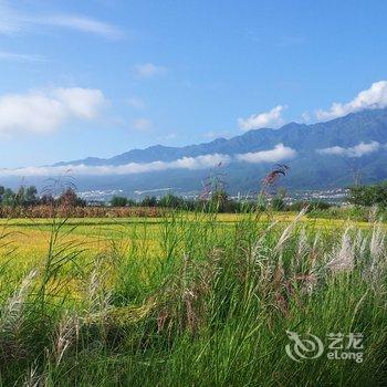 大理稻香田园度假酒店酒店提供图片