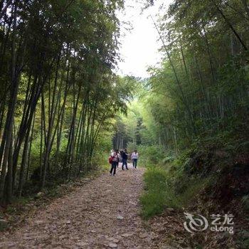 德清莫干山乐居莫干客栈酒店提供图片