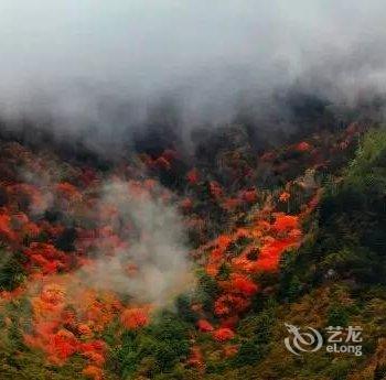 阿坝理县金源宾馆酒店提供图片