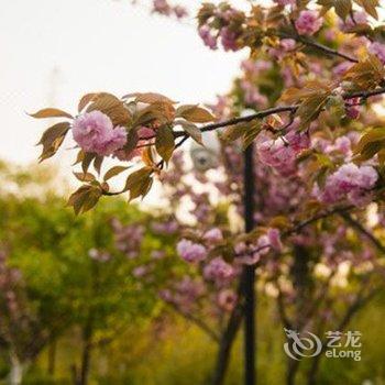 常熟荷香苑酒店酒店提供图片