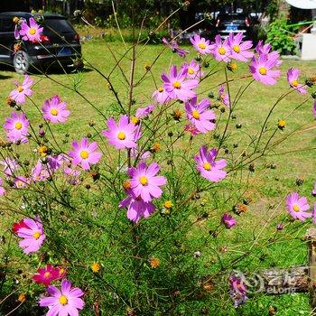 甘孜新都桥格桑花园客栈酒店提供图片