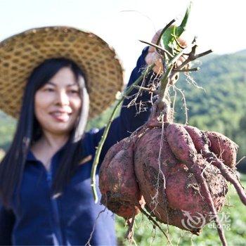 莫干山瑶庄精品民宿酒店提供图片