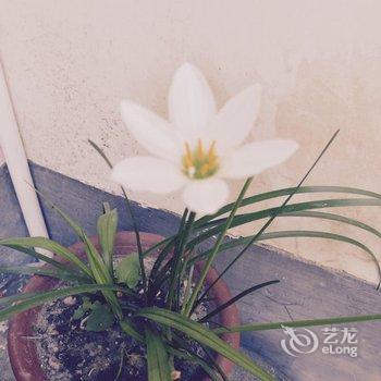 黄山宏村健安居酒店提供图片