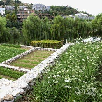 临沂蒙阴蒙山养心园大酒店酒店提供图片