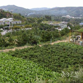 临沂蒙阴蒙山养心园大酒店酒店提供图片