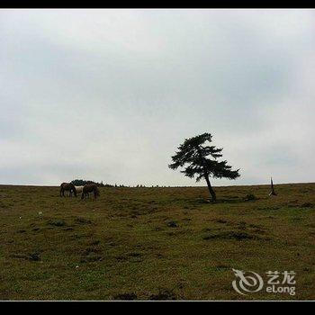 宁武芦芽山农家乐旅社酒店提供图片