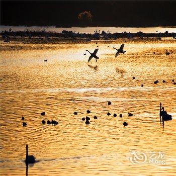 三门峡天鹅湖国际大酒店酒店提供图片