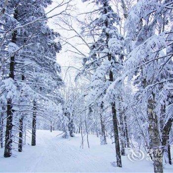 雪乡二浪河服务中心大酒店酒店提供图片