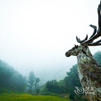 桐庐戴家山秘境山乡生活酒店提供图片