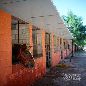 丽江骏逸骑士会度假山庄酒店提供图片