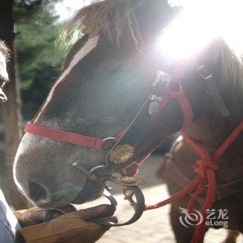 丽江骏逸骑士会度假山庄酒店提供图片