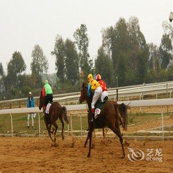 丽江骏逸骑士会度假山庄酒店提供图片