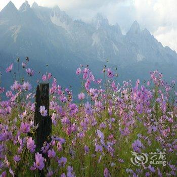 丽江骏逸骑士会度假山庄酒店提供图片