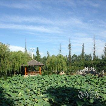 临沂观唐温泉(国际)度假村酒店提供图片