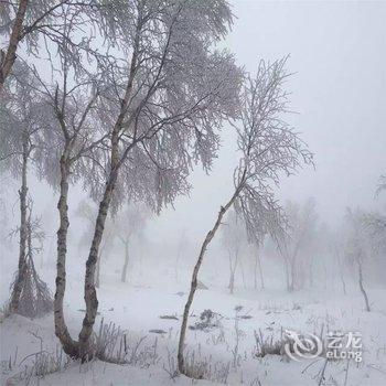 飞鸟假日酒店(崇礼万龙滑雪场店)酒店提供图片