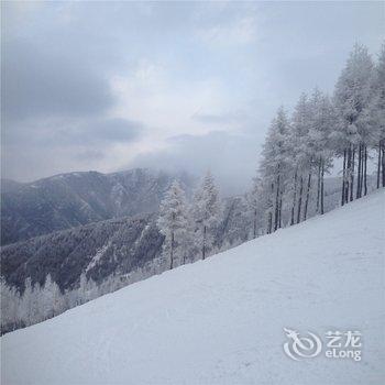 飞鸟假日酒店(崇礼万龙滑雪场店)酒店提供图片