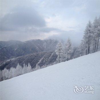 飞鸟假日酒店(崇礼万龙滑雪场店)酒店提供图片