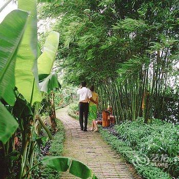 佛山顺德长鹿度假村酒店提供图片