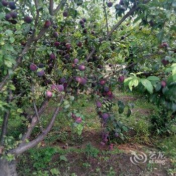 晋中富通山庄酒店提供图片