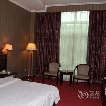 百色金牌大酒店酒店提供图片
