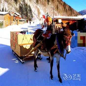 雪乡蒋衍海家庭旅馆酒店提供图片