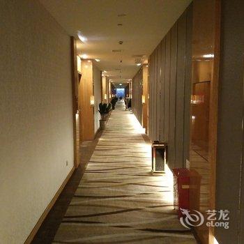 桃源中天酒店酒店提供图片