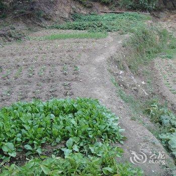 衡阳南岳农家小院客栈酒店提供图片