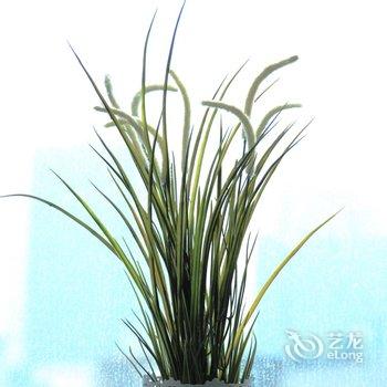 珠江国际江景公寓(重庆观音桥鎏嘉码头店)酒店提供图片