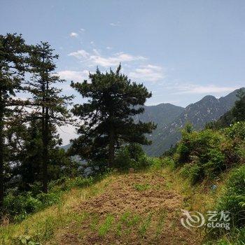 庐山紫阳客栈酒店提供图片