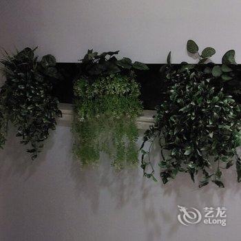 广州富力温泉别墅酒店提供图片