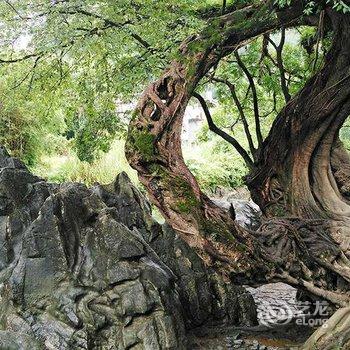 贺州黄姚金麦缘驿站酒店提供图片