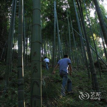 德清莫干山织梦家酒店提供图片