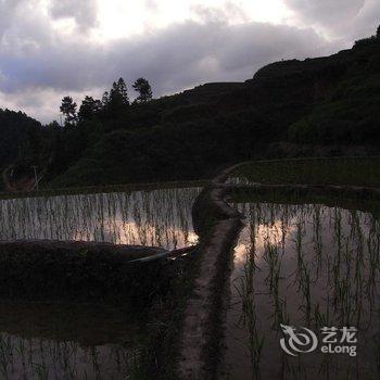 龙胜金坑自然之家酒店提供图片