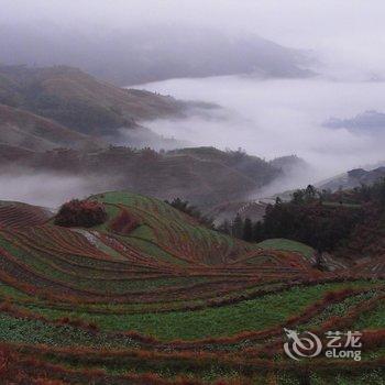 龙胜金坑自然之家酒店提供图片