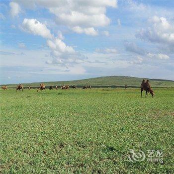 张北安固里草原度假村酒店提供图片