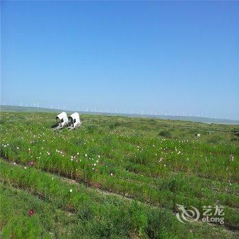 张北安固里草原度假村酒店提供图片